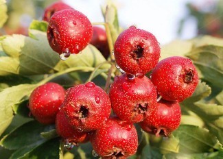 http://p6.qhimg.com/t0198704a18f4005104.jpg